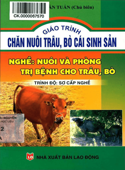 Giáo Trình Chăn Nuôi Trâu Bò Cái Sinh Sản – Tài Liệu Học Tập Ebooks PDF