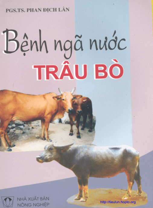 Tài Liệu Số Bệnh Ngã Nước Trâu Bò