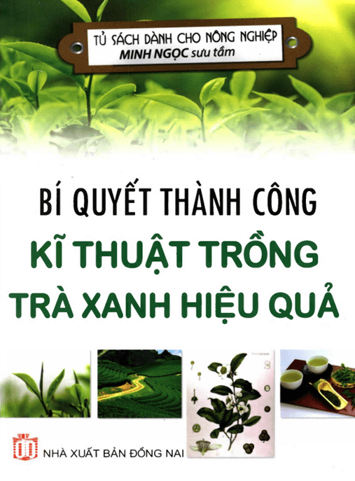 Tài Liệu Số Bí Quyết Thành Công Kỹ Thuật Trồng Trà Xanh Hiệu Quả